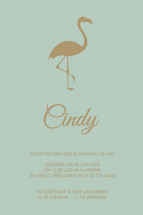 Kaartje Flamingo goudfolie